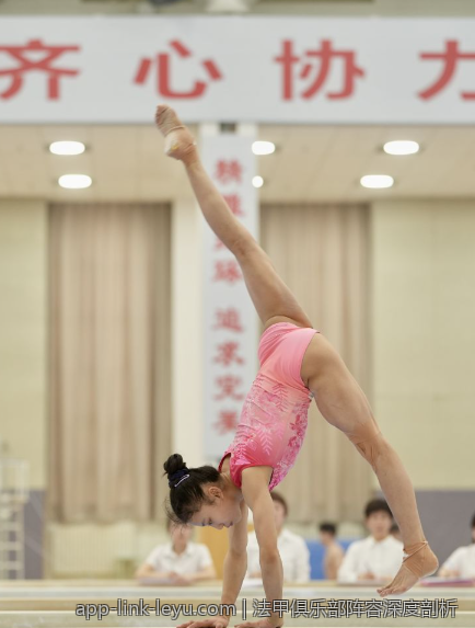 法甲俱乐部阵容深度剖析
