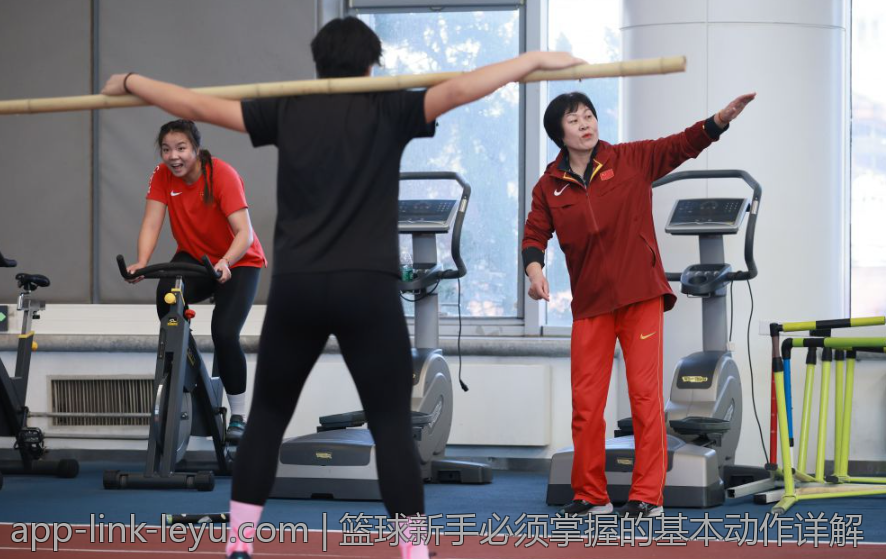 篮球新手必须掌握的基本动作详解