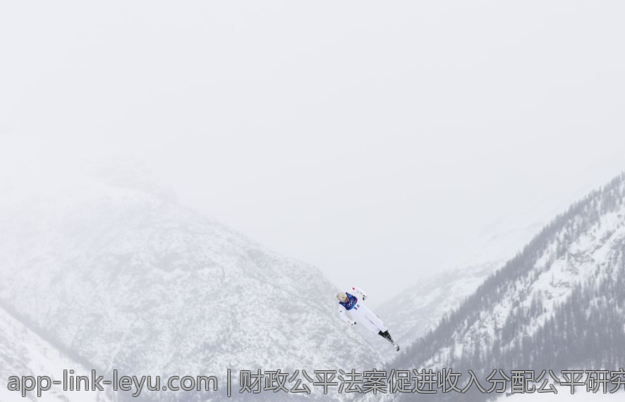 财政公平法案促进收入分配公平研究