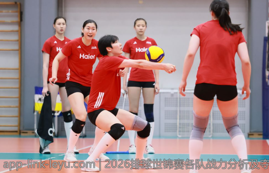 2026排球世锦赛各队战力分析及夺冠概率评估
