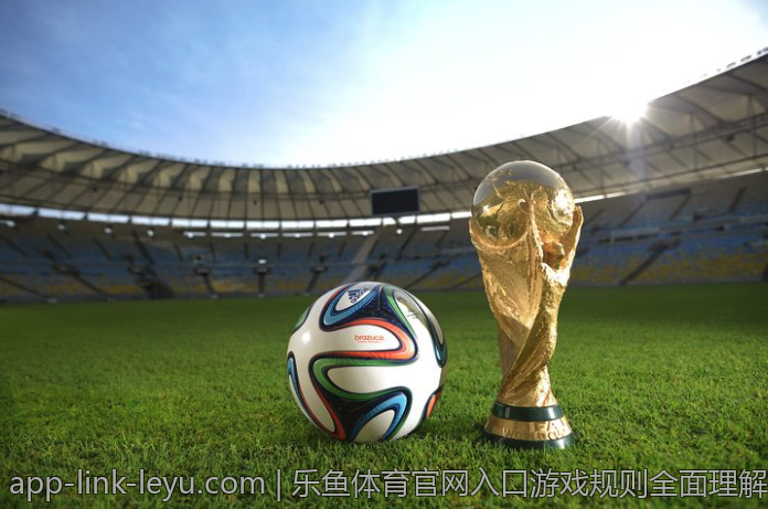 乐鱼体育官网入口游戏规则全面理解