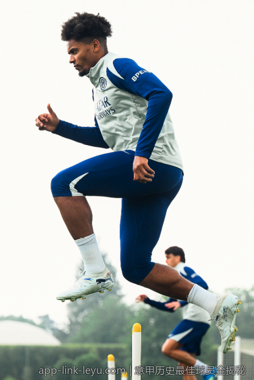 意甲历史最佳球员全揭秘